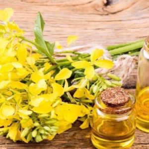 REFINED BLEACHED DEODORIZED (RBD) CANOLA OIL