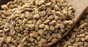 FENU SEED- Tanzanian Origin Fenugreek Seed – Machine Cleaned – Current year Crop – Admixture: 2% – Moisture: 11%