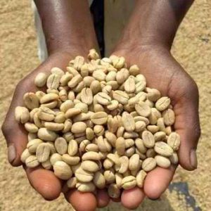 LEKEMOTI NATURAL COFFEE