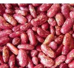 RED SPICKLED KIDNEY BEANS